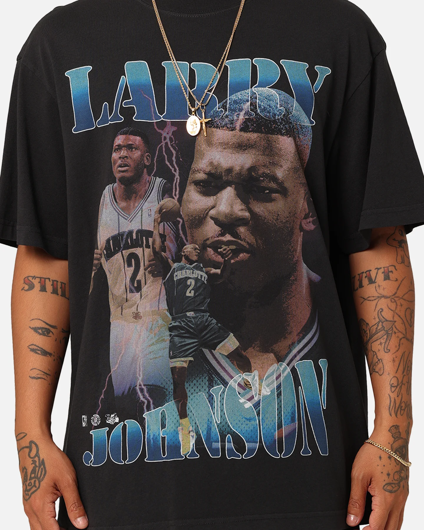Mitchell & Ness Charlotte Hornets Larry Johnson Player & Stats T-Shirt Black - Image 4